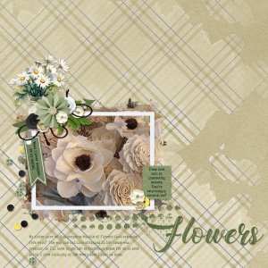Wooden Flowers
