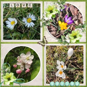 love spring