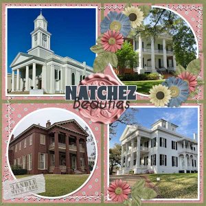 Natchez-BeautiesSCR-LLamb-temp05.jpg