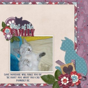 My beloved furbaby.jpg