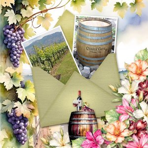 Fine-Wine-2.jpg