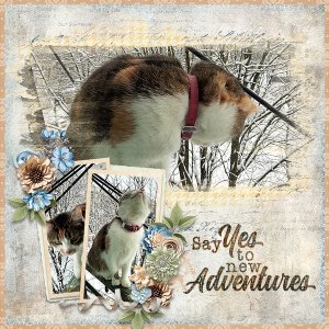 NewAdventure_ollitko_600.jpg