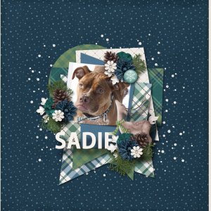 Sadie