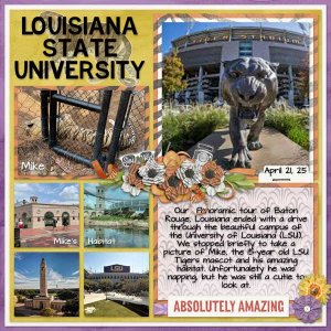 LSU-MFish_VASS03_03.jpg