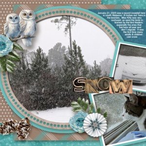 Snow 2025-01-21