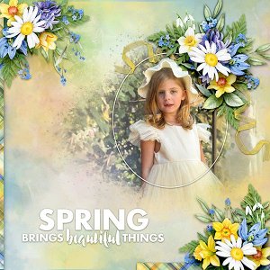 Spring