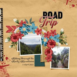 Road Trip