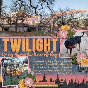 Twilight