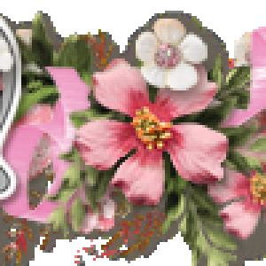 2025_05_May sig.png