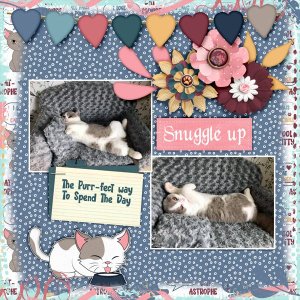 Snuggle-up.jpg