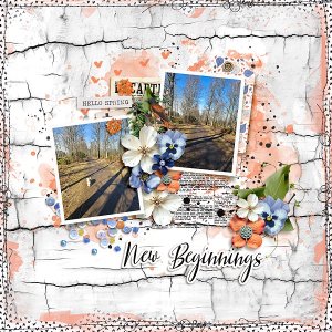 New Beginnings