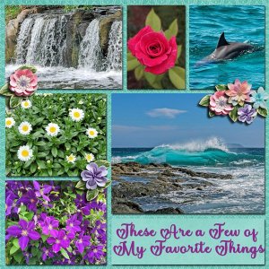 These are a few of my Favorite Things