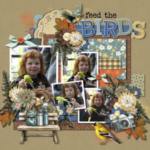 DLPatt_FeedTheBirds_web.jpg