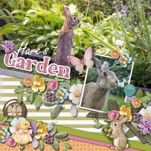 DLPatt_Hare'sGarden_web.jpg