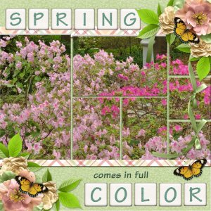 600-ADBDesigns-wishingforspring-poki01.jpg