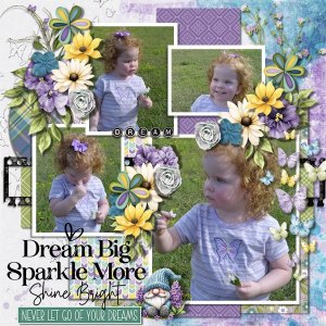 DLPatt_DreamBigSparkleMoreShineBright_web.jpg