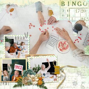Bingo_ollitko_600.jpg
