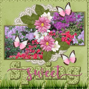 SWEET SPRING