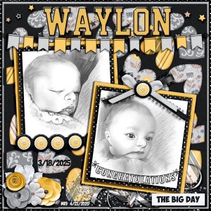 Waylon My New Grandson