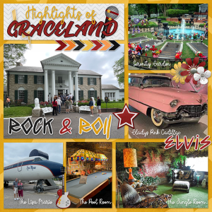 Graceland-MFish_NSD_DaT525.png