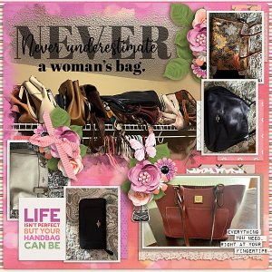 A-Woman's-Purse-web.jpg