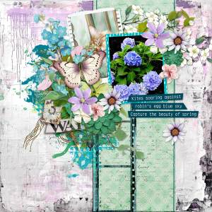 hydrangeas-cwd_2025_iNSD_temp.png