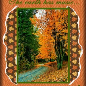 BEAUTIFUL-NATURE.jpg