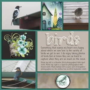 NSD_Pocket Page - Birds