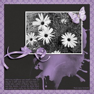 Daisies