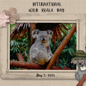 INTERNATIONAL-WILD-KOALA-DAY