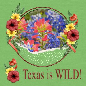 Texas is WILD!