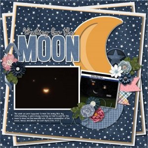 Waiting for the Moon.jpg