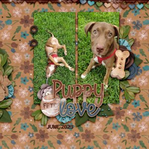 aimeeh_puppylove_1000.jpg