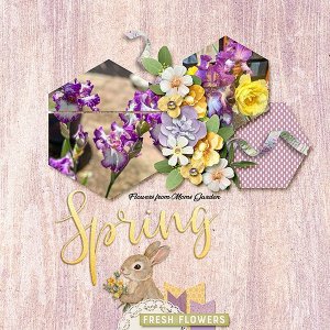 Moms-Flowers.jpg