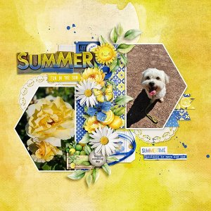 Happy Sunny Summer