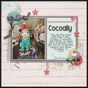 Cocoally.jpg