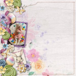 iNSD Graceful Border Chall