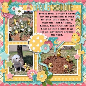 A Spring Waddle