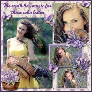 Lavender