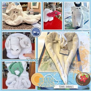 01-04-25-towels-MFish_NSD_DaT525-copy.jpg