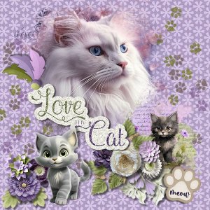 DLPatt_LoveMyCat_web.jpg