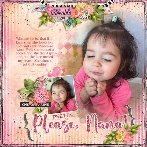 20250411-Pleeeese-Nana-20250507.jpg