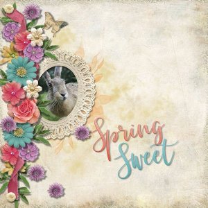 DLPatt_SpringSweet_web.jpg