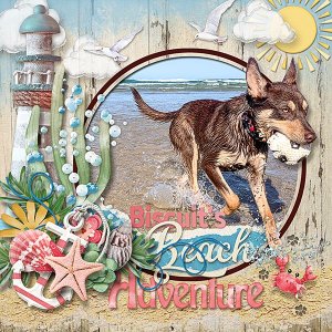 Biscuits-Beach-Adventure-copy.webjmb.jpg