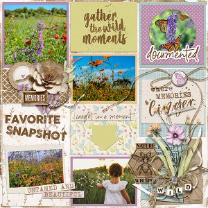 The Wild Moments