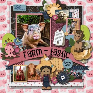 DLPatt_Farm-tastic_web.jpg