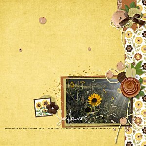 Lovely Sunflower