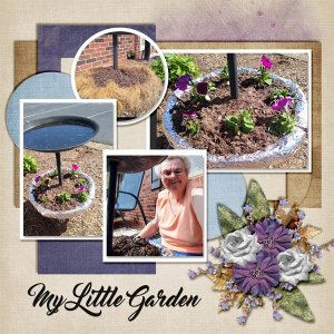 03 My fountain garden_edited-1.jpg