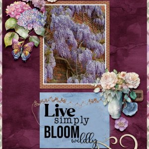 wisteria