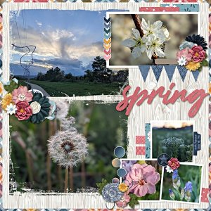 Photos from our walk May 10, 2025